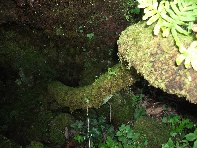 otte Scorciavacca20110306 115